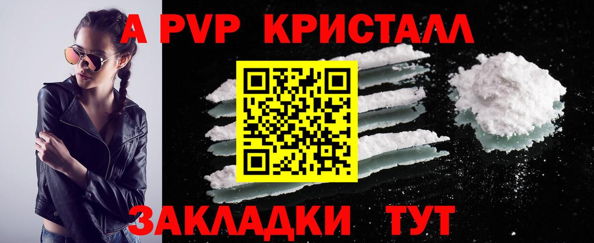 Альфа ПВП СК КРИС Луга