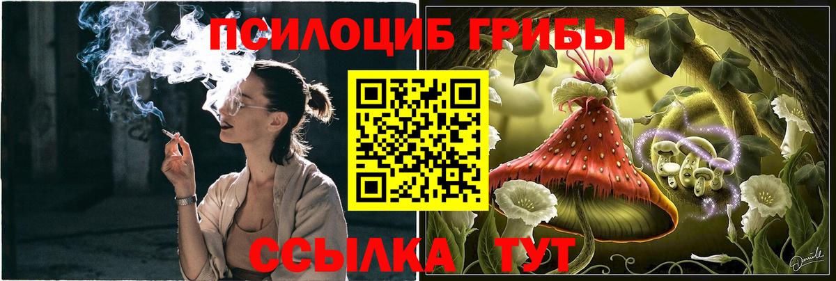 как найти   Вход с VPN  Луга  Галлюциногенные грибы мухоморы 